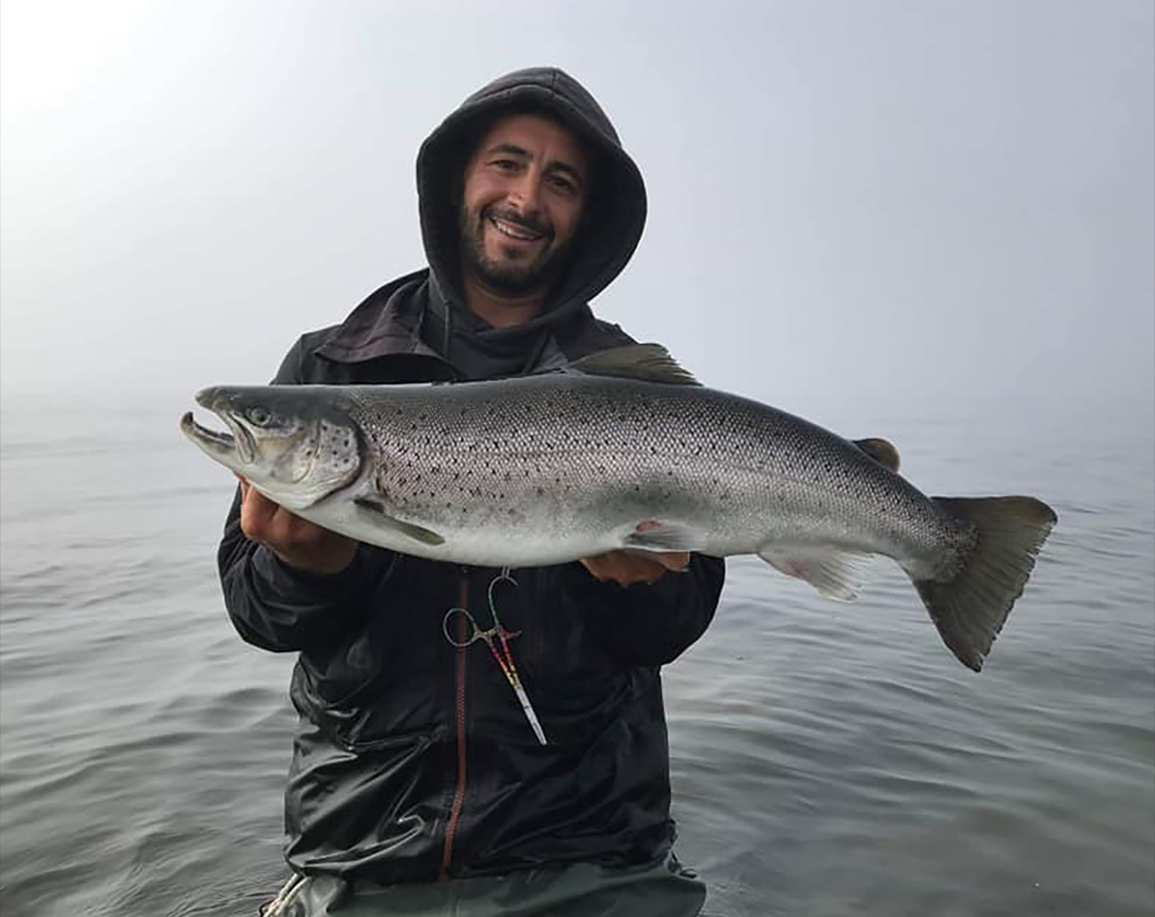 OGP Henrys Skruen 20 gr - Presentpack